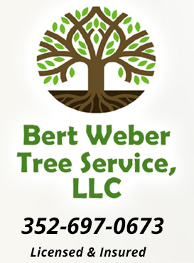 Bert Weber Tree Service, LLC